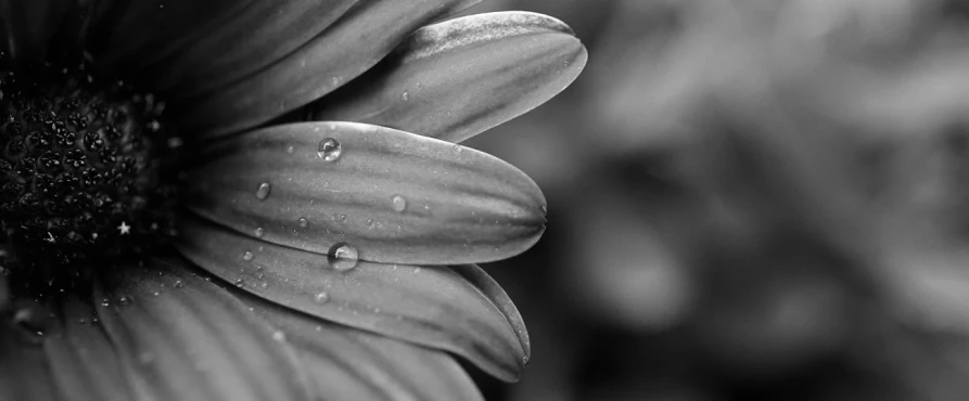 Byron Katie - der Weg aus der Depression the work of byron katie